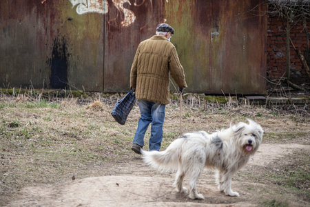 An elderly man walks down the street with a dog. Retired in Russia. Walk of an old man in old...