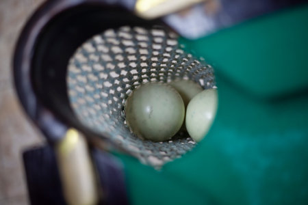 Eggs close-up. Selective focus.