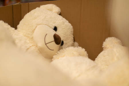 Teddy bear box. Children's toy. Cute bear with white hair.の写真素材
