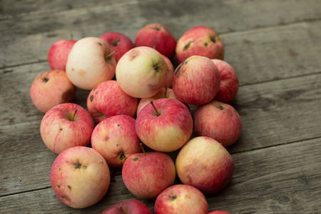 Red apples in autumn. Juicy fruit lies on the boards. Autumn apple picking.