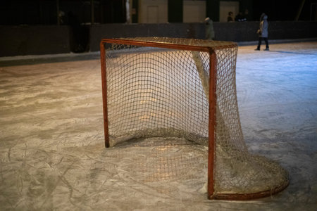 Gate on ice. playing hockey. Gate with mesh. winter sports.