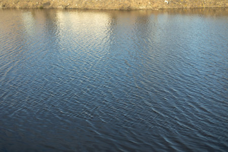 water on lake. Waves on water. Pond in city. Details of nature.の写真素材