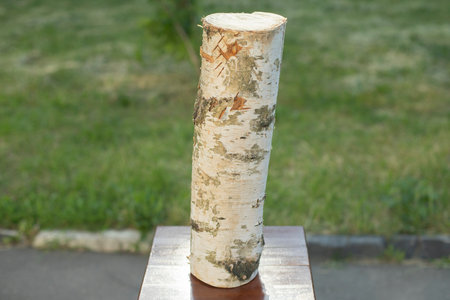 Birch log. Log for felling. firewood. tree stamp.の写真素材