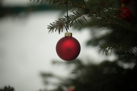 Red ball on green Christmas tree. Decoration for Christmas. Christmas Tree Details. red sphere.の写真素材