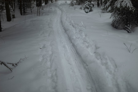 trails in woods. Ski run in winter. Footpath in snow. snowy winter.の写真素材