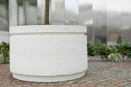 White pot for tree in park. flower bed for plant. park facility. Tree grows in city.の写真素材