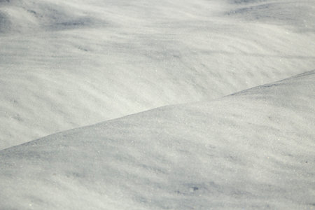 snow texture. Details of winter. snowfield. Nature on winter day.
