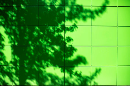 Green tile wall with shadow of the tree. Abstract background for design.の写真素材