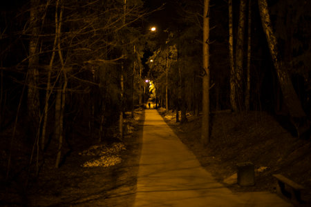Road in park at night. Night light from lamps on track. Empty park in the city.の写真素材