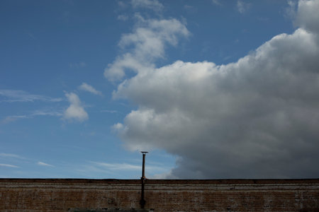 Roof of building. pipe on roof. industrial zone. Sky above old warehouse.の写真素材