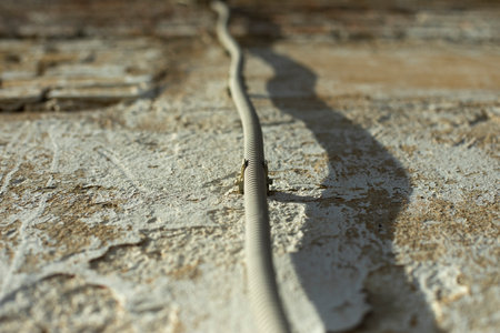 wire on wall. electrical wiring in building. Current insulation, Corrugated for electricity insulation.の写真素材