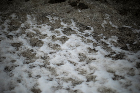 Dirty snow by road. Side of road in winter. Blocks of ice are black. snow dump.の写真素材