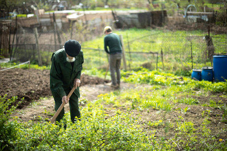 Grandfather and grandson in the garden. Digging up garden. planting. Russians are digging potatoes in garden.の写真素材