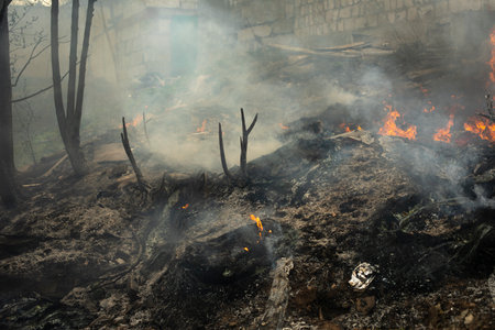 burning of garbage. Set fire to illegal landfill. Flames and smoke. environmental disaster.の写真素材