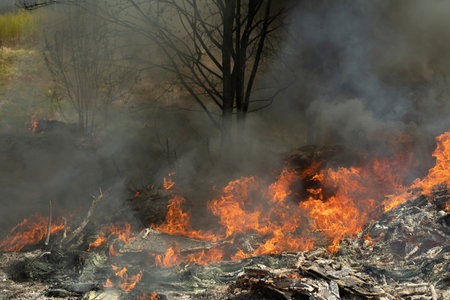 Fire and black smoke. fire in landfill. Smoke in forest. Illegal landfill. Thick black smoke.の写真素材