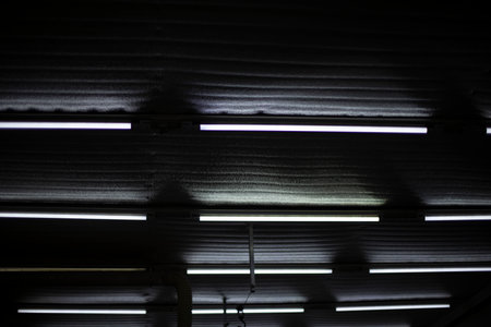 Fluorescent lamps. Ceiling in production room. Light in stock. White light workshop.の写真素材