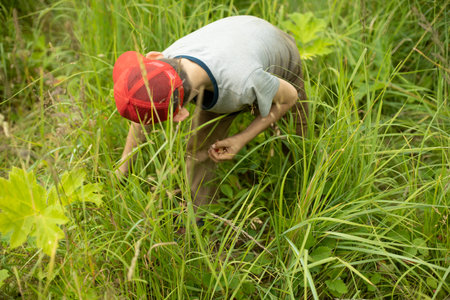 Child picks berries. Poor boy looking for food in the forest. schoolboy got lost in park. homeless child.の写真素材