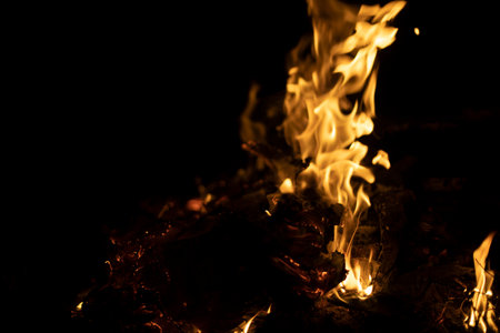 fire in forest. Flame is yellow. Burning of dry branches. big fire.の写真素材