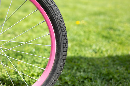 Bicycle wheel. Pink rim and protector. Wheel against background of lawn.の写真素材
