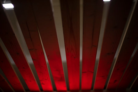 Boards in red light. Tree in neon glow. Boards lie in row.の写真素材