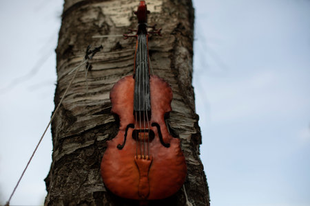 Violin on wood. Stringed musical instrument. Details of music festival. Music symbol.の写真素材