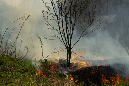 fire in street. smoke and fire. Landfill is burning. environmental hazards. air pollution.の写真素材