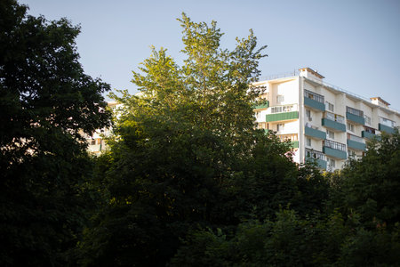 Green trees in the park. Summer view of the park. Plants in summer.の写真素材