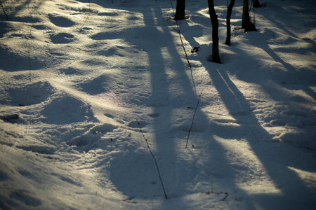 Snow in winter in the evening. frozen ground. Winters were coming. Lots of snow.の写真素材