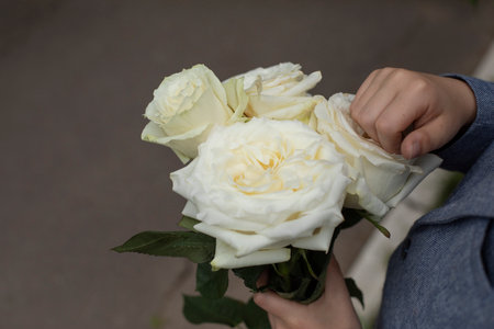 White roses in hand. Bouquet of flowers to child's hand. rosebuds. Details of holiday.の写真素材