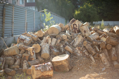 Sawnwood. wood stumps. heap of logs. Dry fuel. Sawmill parts.の写真素材