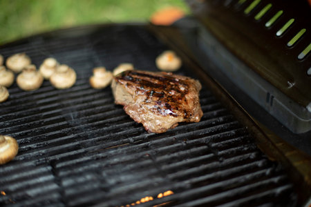Meat at picnic. Cooking outdoors. Barbecue in summer. Hot grate in kitchen. Delicious food.の写真素材