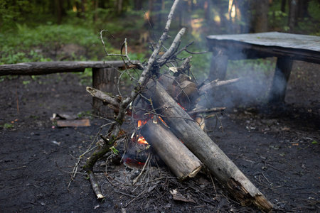 fire in forest. Large bonfire of logs. Smoke from flames. Combustion process. Burning branches.の写真素材