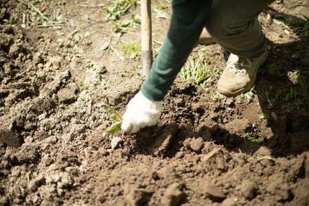 Guy digs soil with shovel. Digging up ground for planting. Work in garden. life in the countryside. man works.の写真素材