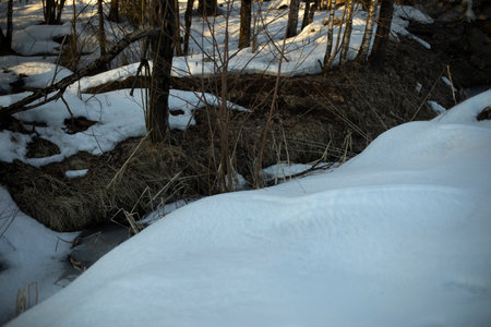 Snow in winter in the evening. frozen ground. Winters were coming. Lots of snow.の写真素材