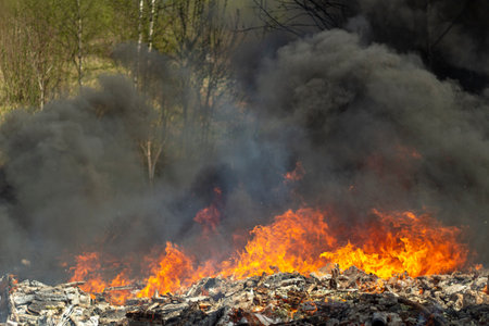Black smoke and fire. fire in forest. burning of garbage. environmental disaster.の写真素材
