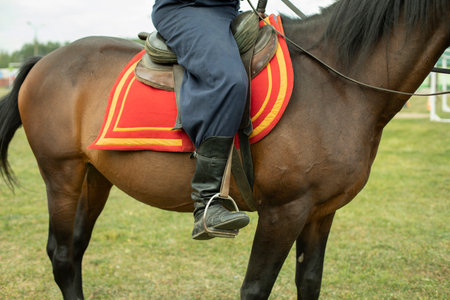 Rider ride horse. Man from Cossack Brotherhood. Rider in field.の写真素材