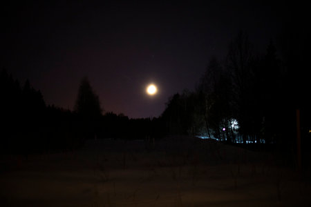 Night landscape with moon. Details of landscape at night. View of the moon in the sky.の写真素材