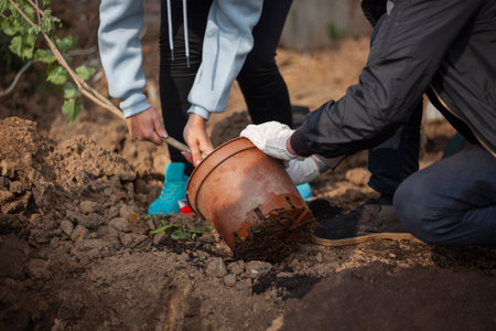 Planting seedlings in ground. Planting plants in ground. people grow forest. Pot with wood.の写真素材