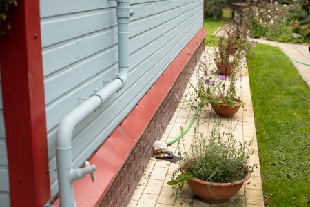Flowers in pots near wall of house. landscape design in yard. Details of building. Wall of boards. Cornice from rain. Gas pipe on wall.の写真素材