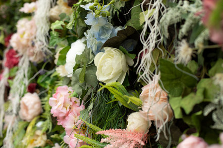 Dried flowers texture. wall of roses. beautiful background. Stealing from plants. Details of park garden. artificial flowers.の写真素材