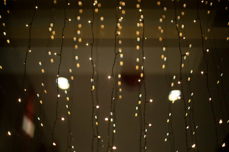 Garlands on glass. Small bulbs on wires. Lights on window. Decoration of building.の写真素材