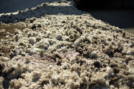 Melt on lawn. Precipitation after snowstorm. hail fell outside. weather conditions.の写真素材