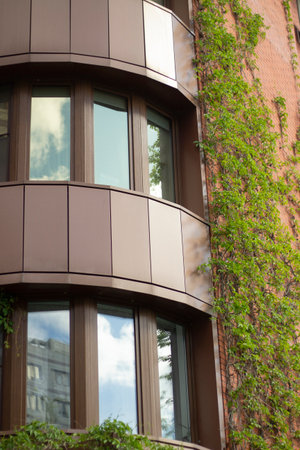 Ivy on the wall of the house. Comfortable accommodation with comfortable balconies. Ivy in the decoration of the building.の写真素材