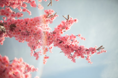 pink flowers. Sakura on background of sky. beautiful spring background. paper flowers.の写真素材