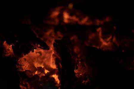 fireflame. flame texture. Burning firewood in stove. Fuel in hearth.の写真素材