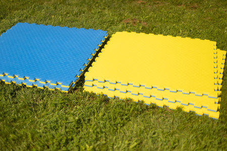Sports training mat.. Soft coating for exercise in park. Playground for sports on green lawn. Classes in park.の写真素材
