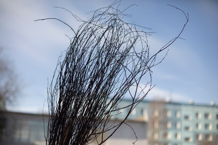 Broom made of natural material. Broom made of dry branches. outdoor cleaning tool. Broom on background of sky.の写真素材