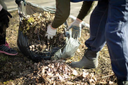 Harvesting leaves in bags. People clean up yard. Cleaning of territory. Collect dry leaves in spring.の写真素材