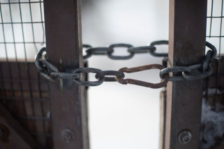 Chain at the gate. Steel chain on fence. Closed gates in winter. Chain links.の写真素材