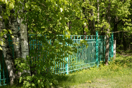 green fence in the park. steel fence. Private territory. park in city.の写真素材